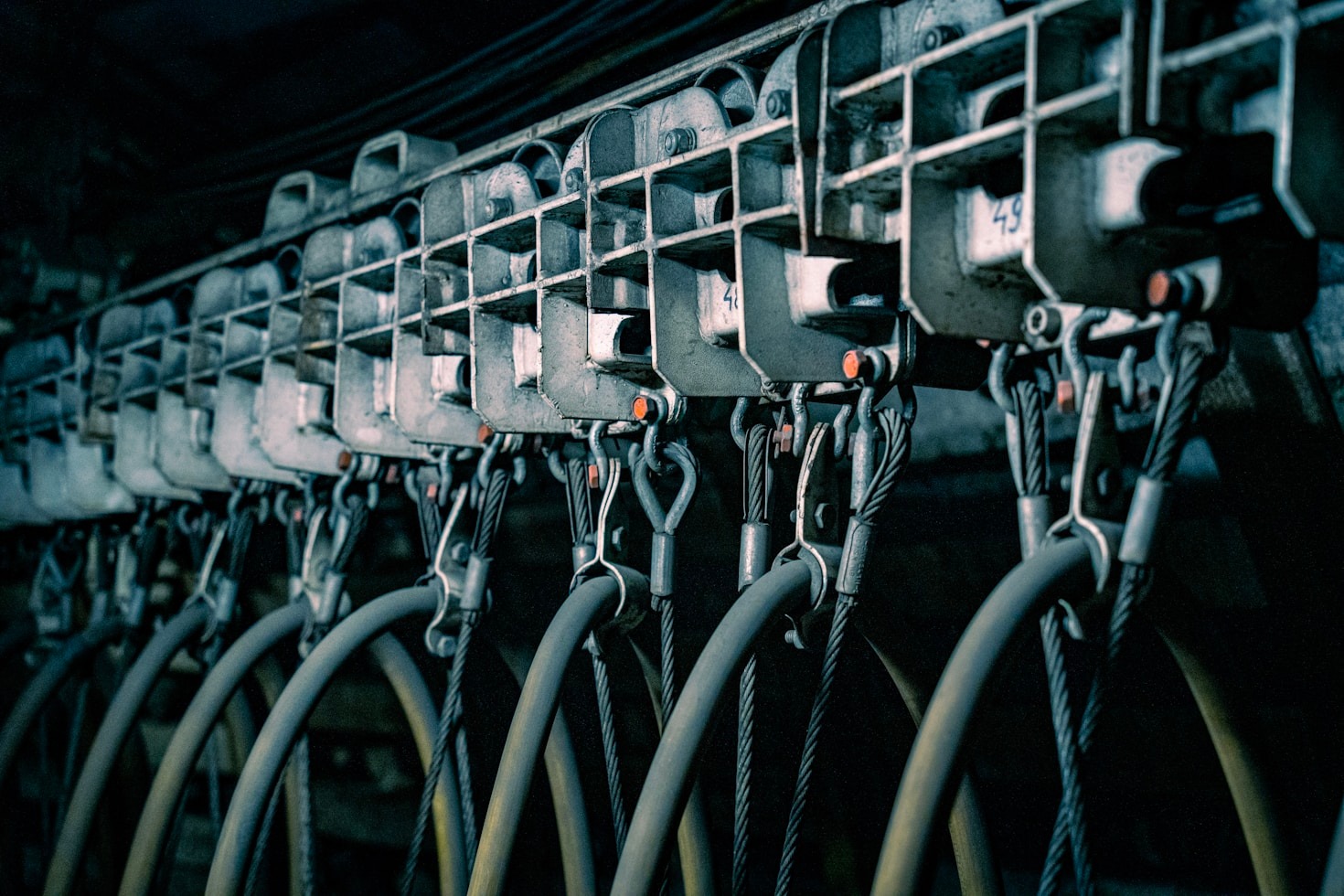 The Role of Professional Hosting in Online Success
